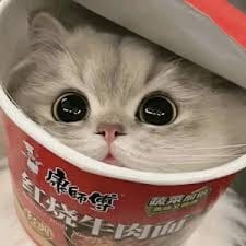 Tiến Đạt avatar